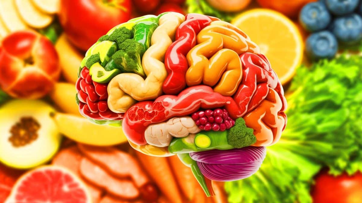 Illustration de l'impact d'une alimentation riche en graisses sur la mémoire et les processus cellulaires.