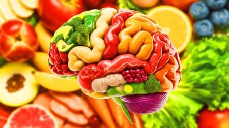 « Votre régime vous détruit le cerveau » : cette découverte terrifie les scientifiques et bouleverse votre quotidien dès maintenant Illustration de l'impact d'une alimentation riche en graisses sur la mémoire et les processus cellulaires.