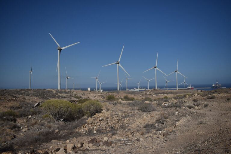 Agir contre le changement climatique : les mesures efficaces