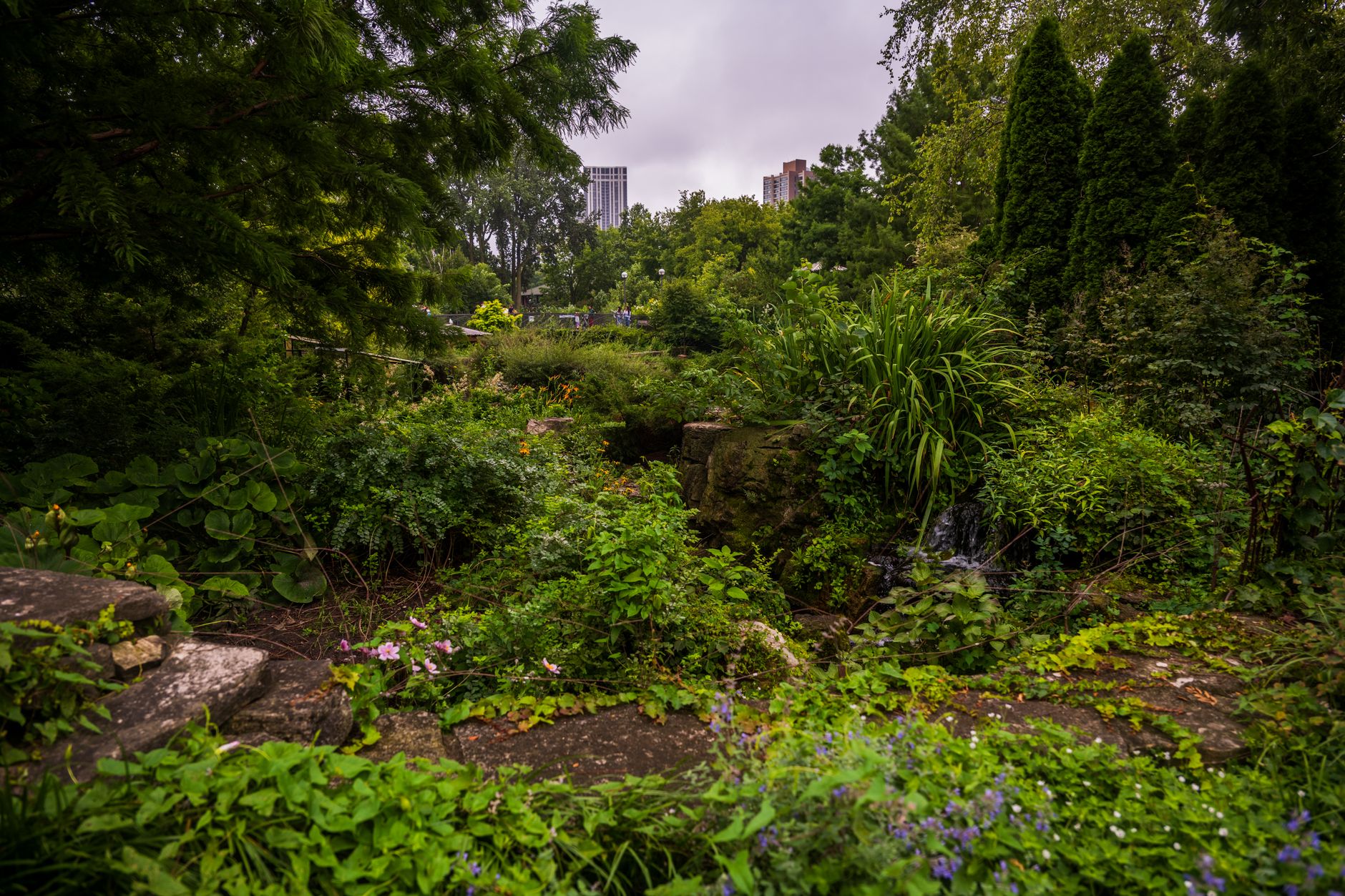 Pourquoi la biodiversité urbaine est essentielle à préserver