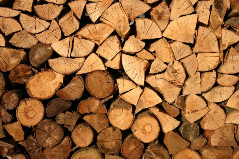 Le bois de chauffage séduit des foyers confrontés à la hausse du fioul