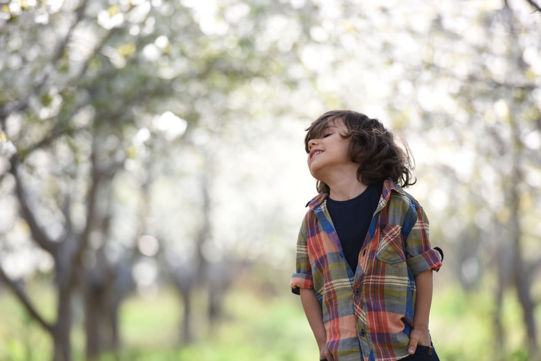 Un jeune garçon en chemise à carreaux, tête levée et yeux fermés, sourit dans une allée d’arbres en fleurs.